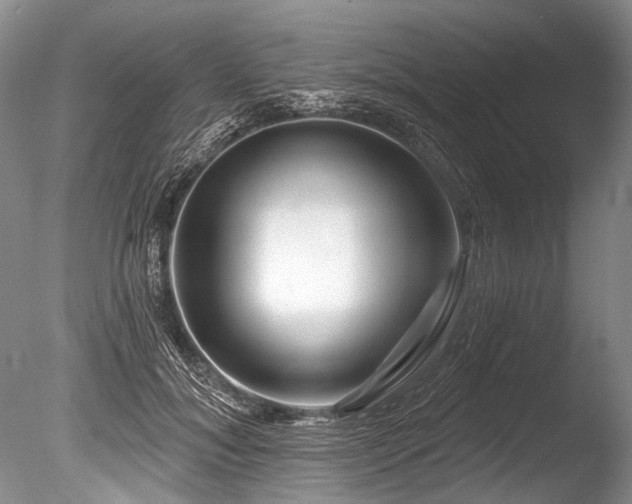 X0000086320700200703301218