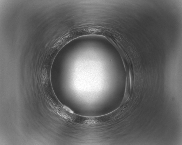 X0000086320704200703301218