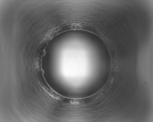 X0000086320706200703301218