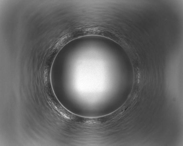 X0000086320708200703301218