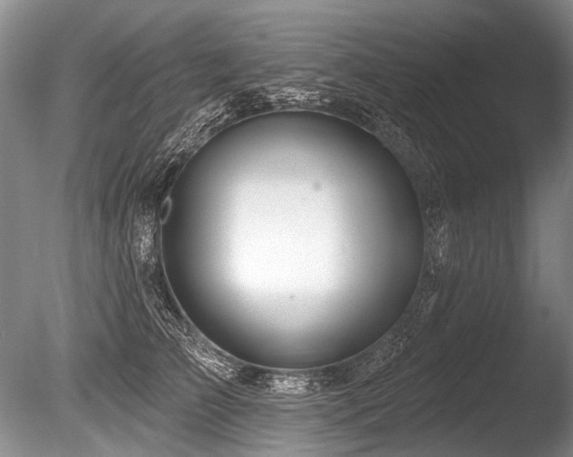 X0000086320709200703301218