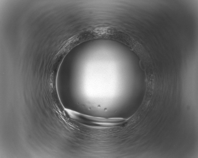 X0000086320710200703301218