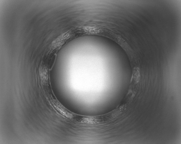 X0000086320713200703301218