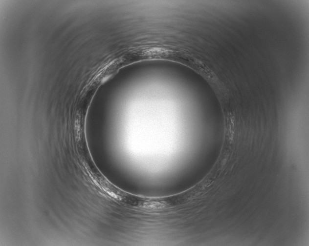 X0000086320716200703301218