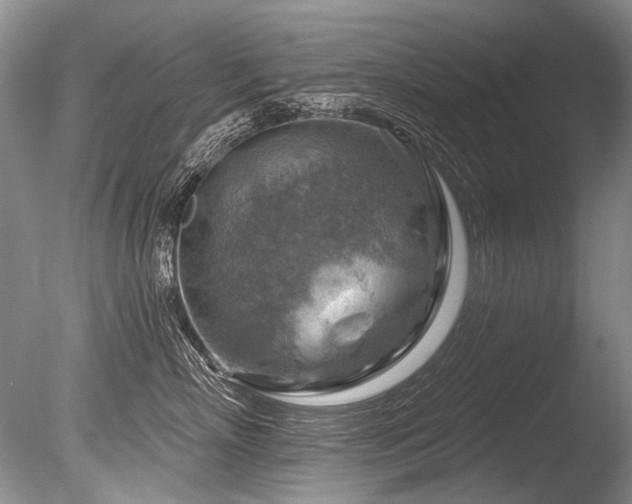 X0000086320718200703301218