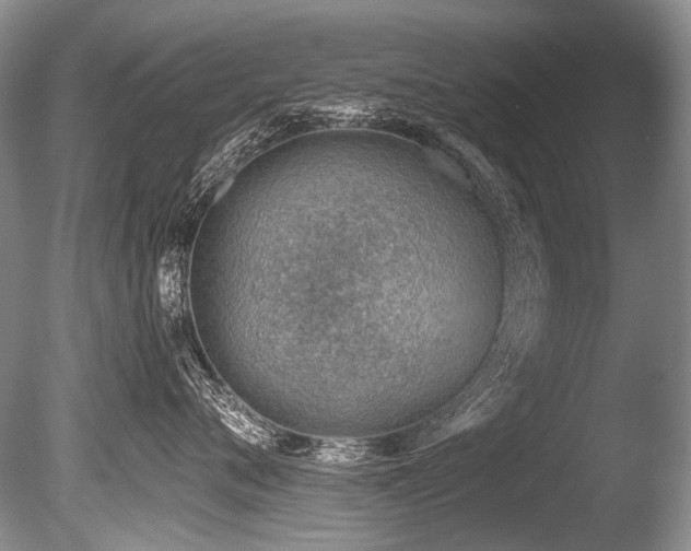 X0000086320720200703301218
