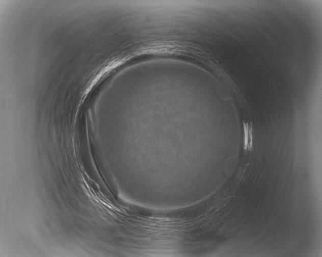 X0000086320723200703301217