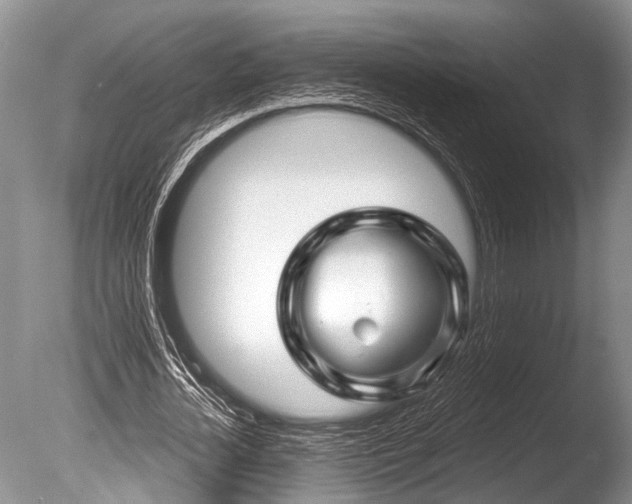 X0000086320724200703301217