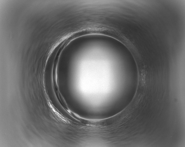 X0000086320726200703301217