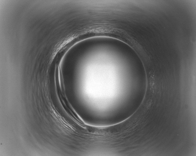 X0000086320727200703301217