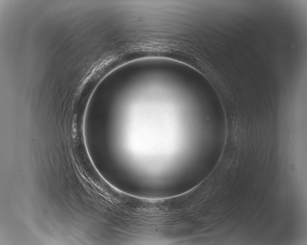 X0000086320731200703301217