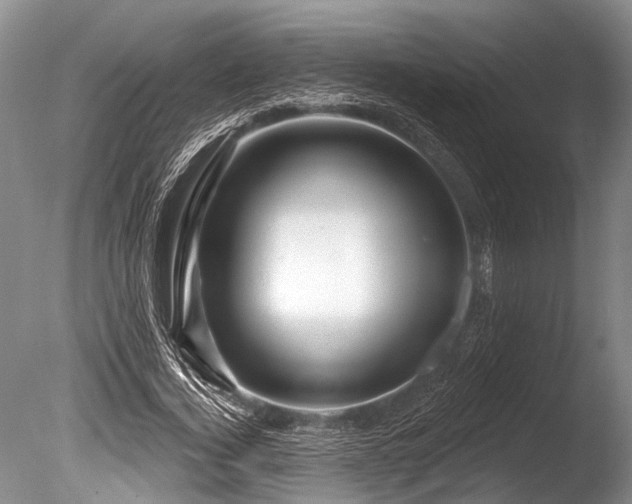 X0000086320732200703301217