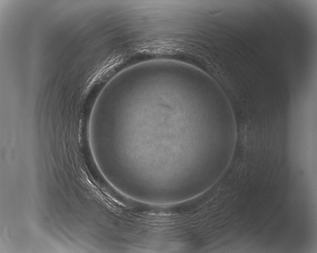 X0000086320735200703301217