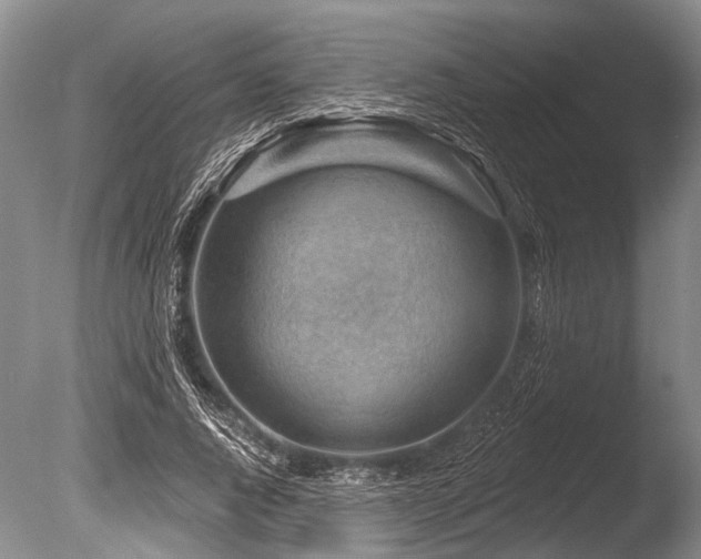 X0000086320736200703301217