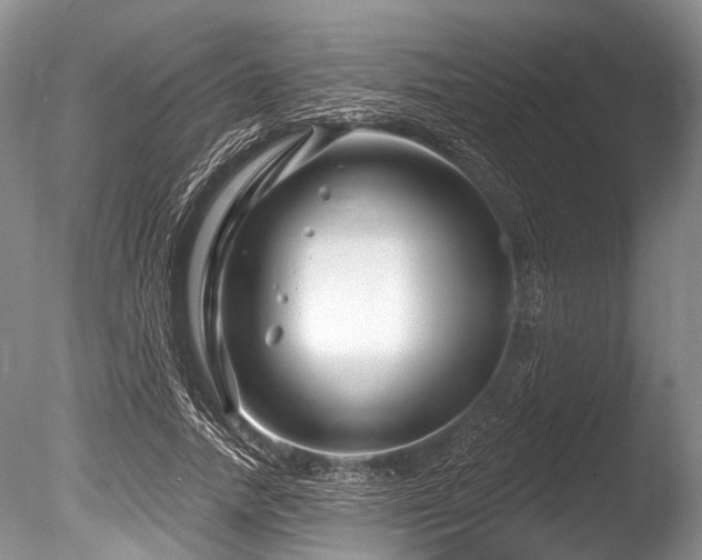X0000086320738200703301217