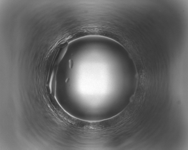 X0000086320739200703301217
