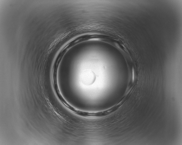 X0000086320740200703301217