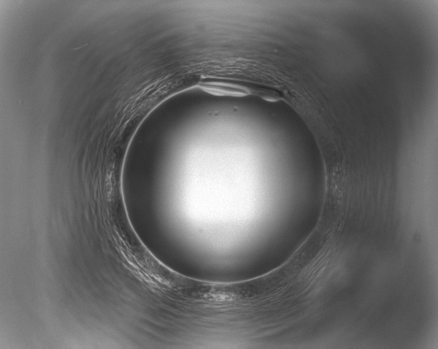 X0000086320741200703301217