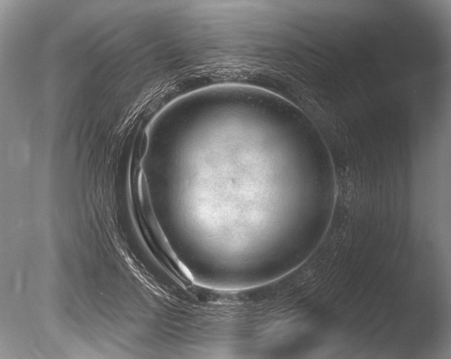 X0000086320742200703301217