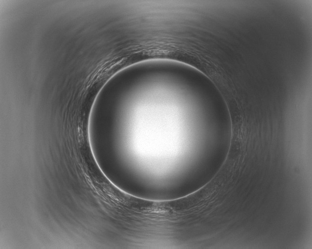 X0000086320743200703301217