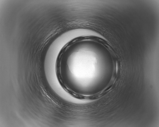 X0000086320744200703301217