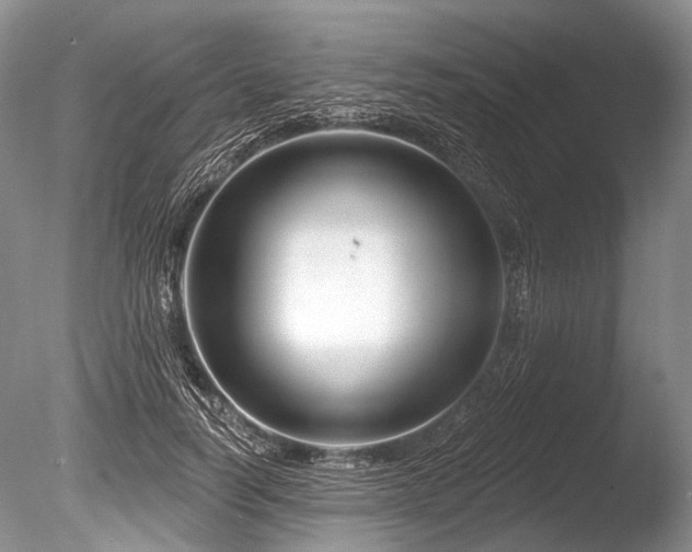 X0000086320746200703301217
