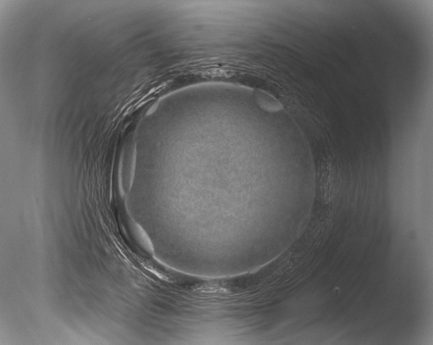 X0000086320747200703301217