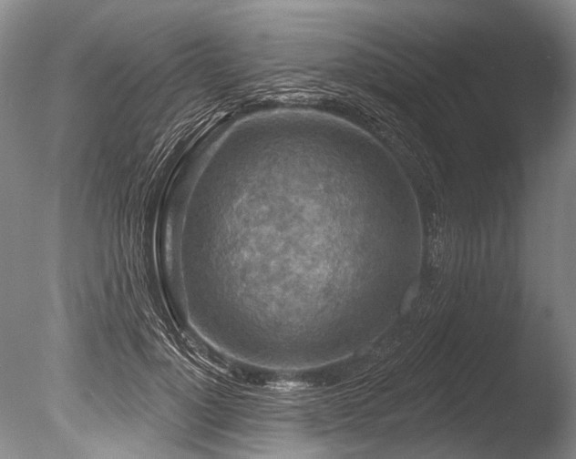 X0000086320748200703301217