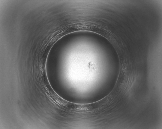 X0000086320749200703301217