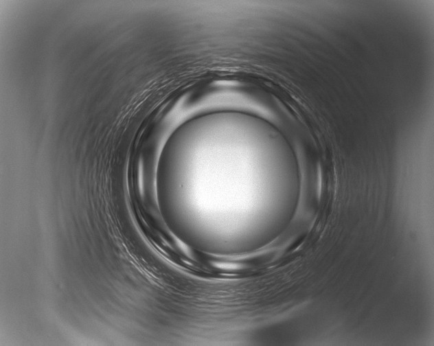 X0000086320750200703301217
