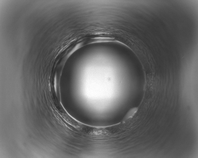 X0000086320752200703301217