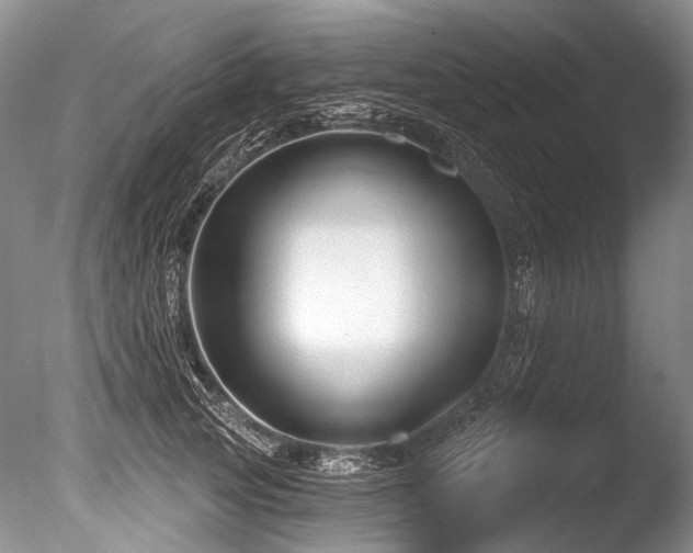 X0000086320753200703301217