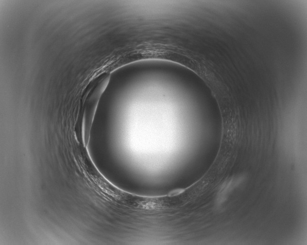 X0000086320755200703301217