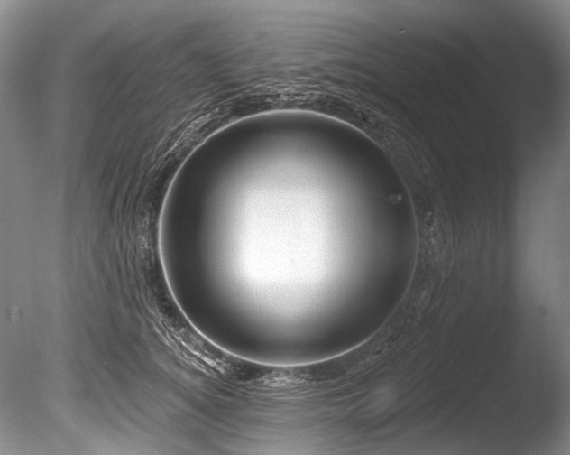 X0000086320756200703301217
