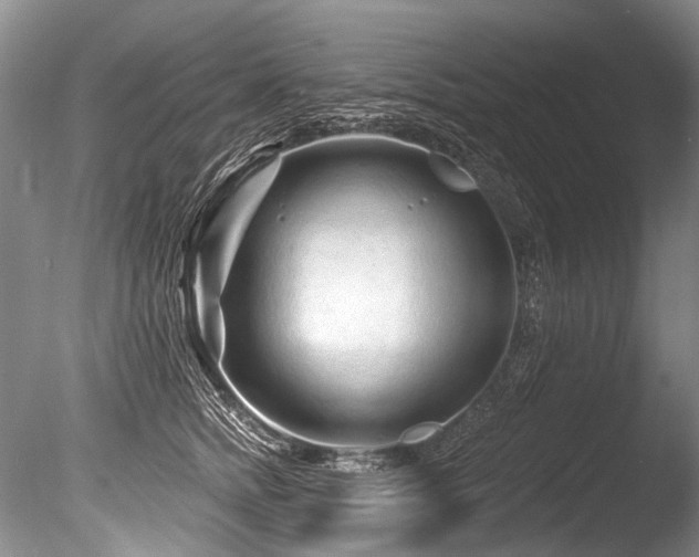 X0000086320758200703301217