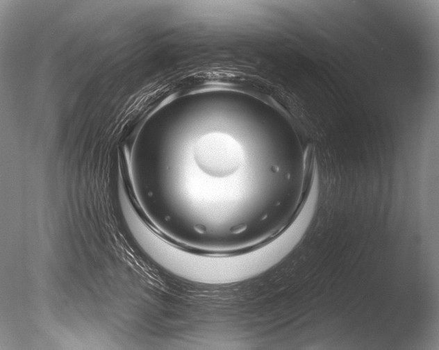 X0000086320762200703301217