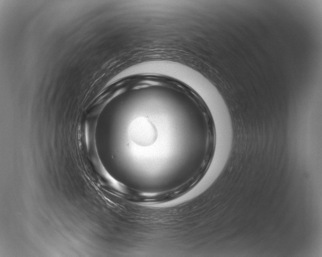 X0000086320764200703301218