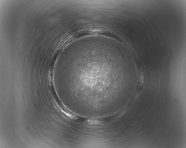 X0000086320766200703301218