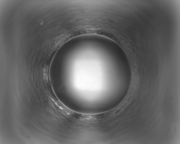 X0000086320768200703301218