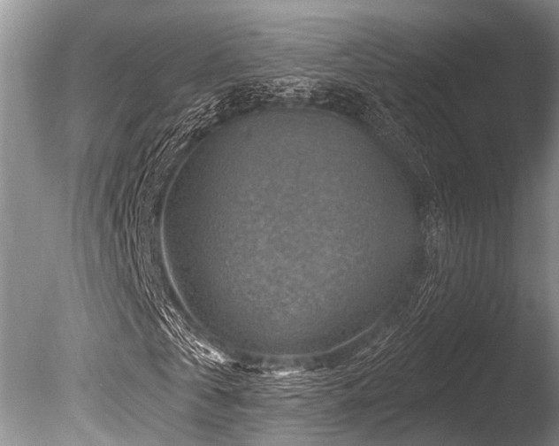 X0000086320769200703301217