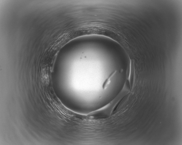 X0000086320771200703301217