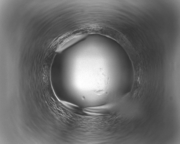X0000086320773200703301217