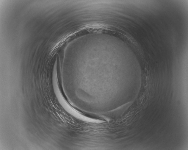 X0000086320775200703301217