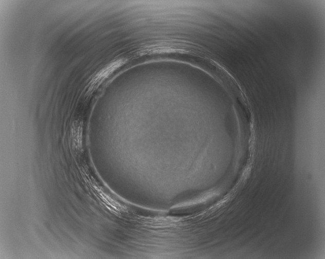 X0000086320777200703301217