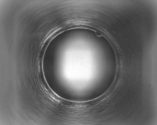 X0000086320782200703301217