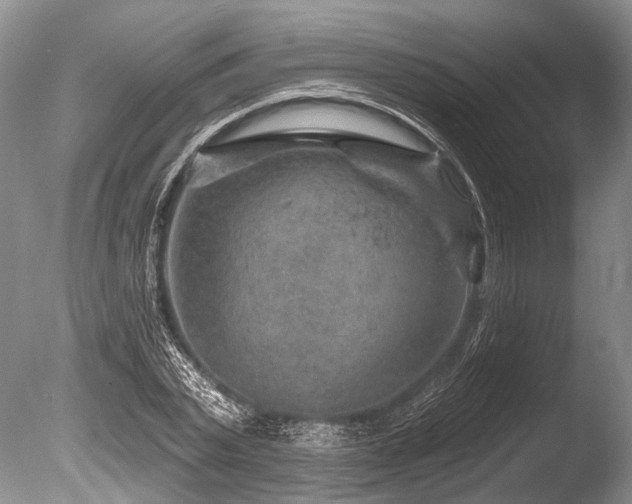 X0000086320783200703301216