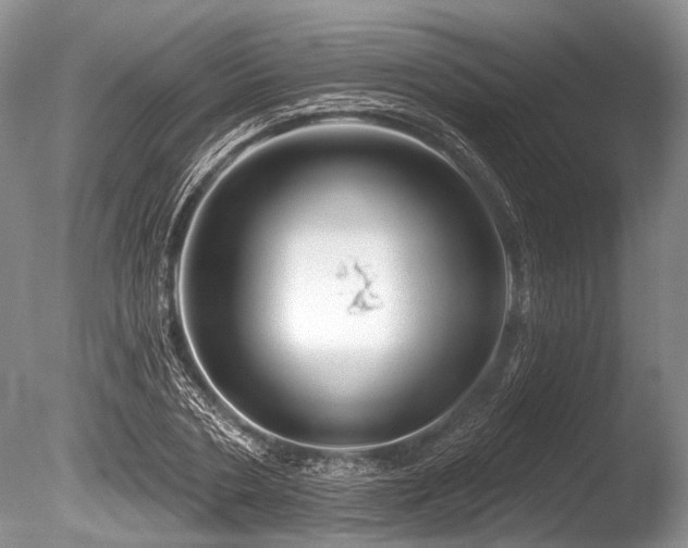 X0000086320786200703301216