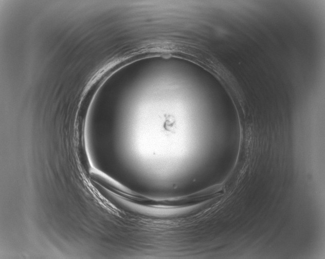 X0000086320787200703301216