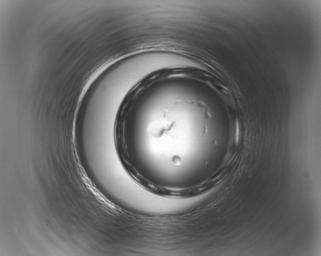 X0000086320788200703301216