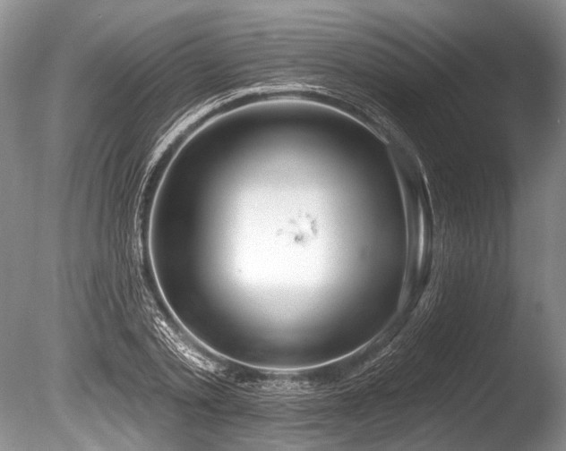 X0000086320789200703301216